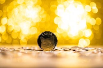 Shiba Inu’s Shibarium Is More Than A Layer 2, Expert Reveals What It Is