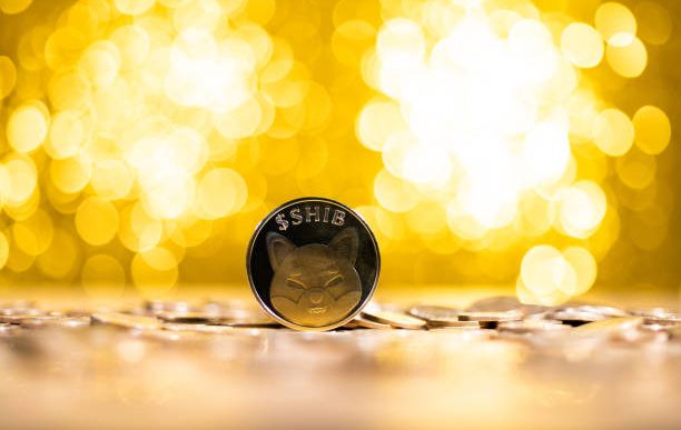 Shiba Inu’s Shibarium Is More Than A Layer 2, Expert Reveals What It Is