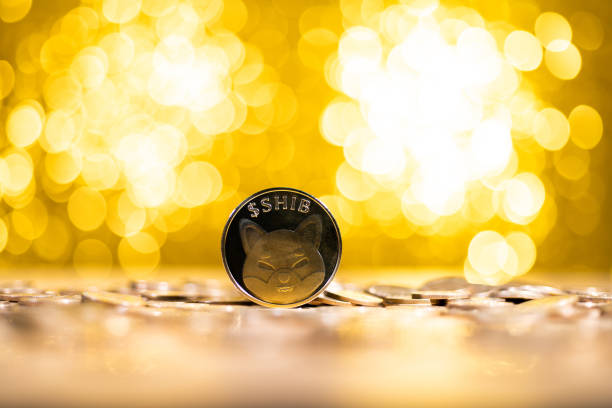 Shiba Inu’s Shibarium Is More Than A Layer 2, Expert Reveals What It Is Shiba Inu’s Shibarium Is More Than A Layer 2, Expert Reveals What It Is